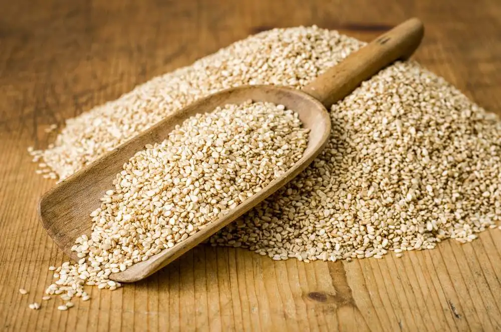 Sesame Seed
